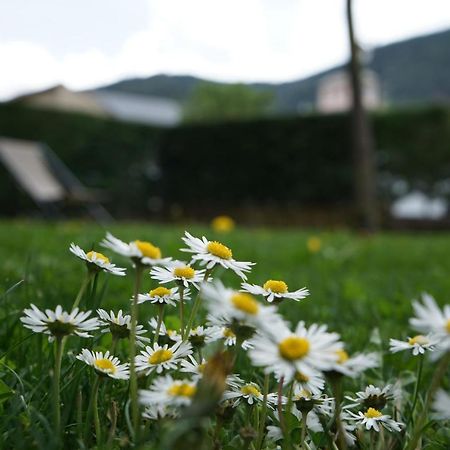 Apartamento con jardín en Cerdanya Err Bagian luar foto
