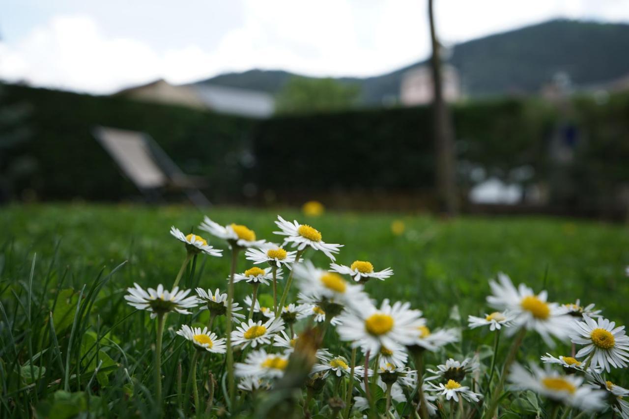 Apartamento con jardín en Cerdanya Err Bagian luar foto
